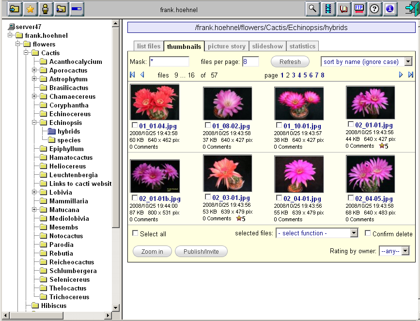 WebFileSys 2.31.0 full